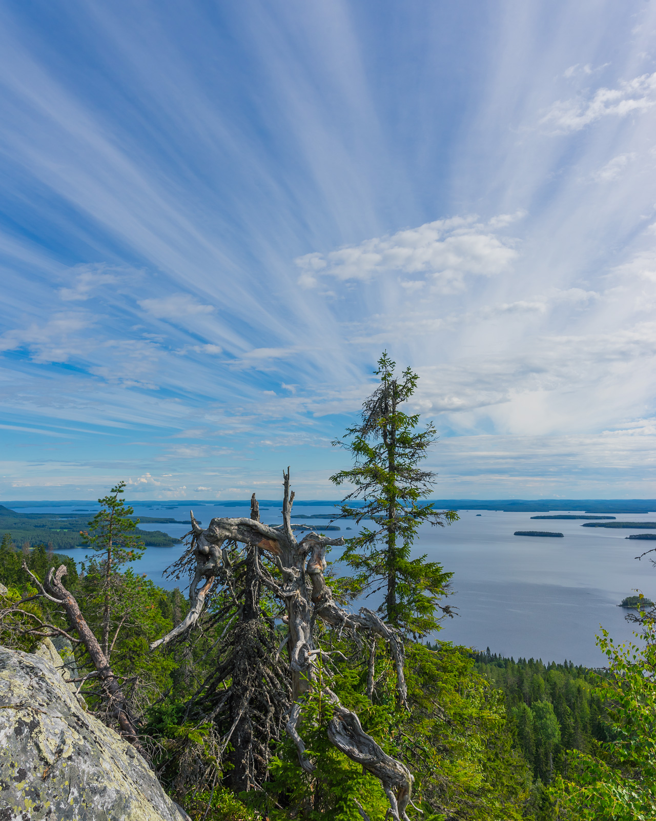 Beautiful views from the top of Koli