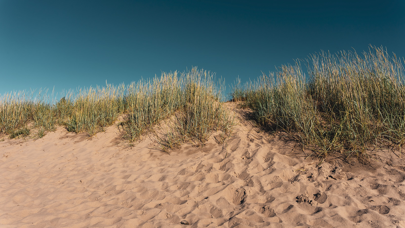 Kalajoki Sand Dunes