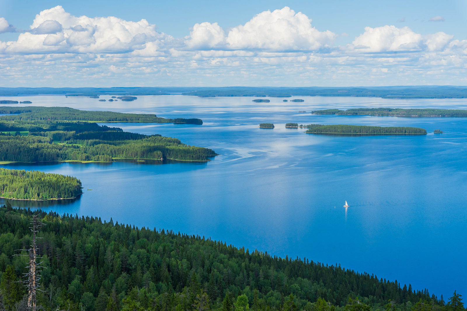 Colors of Koli and Pielinen: Blue – Green – White