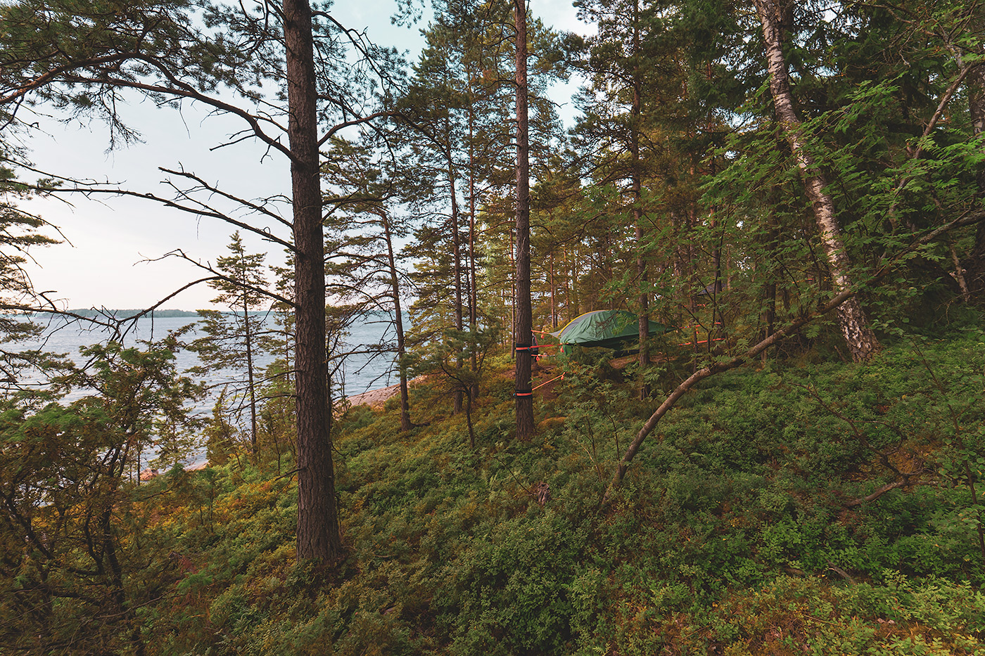 Tentsile Camp, Vallisaari, Finland