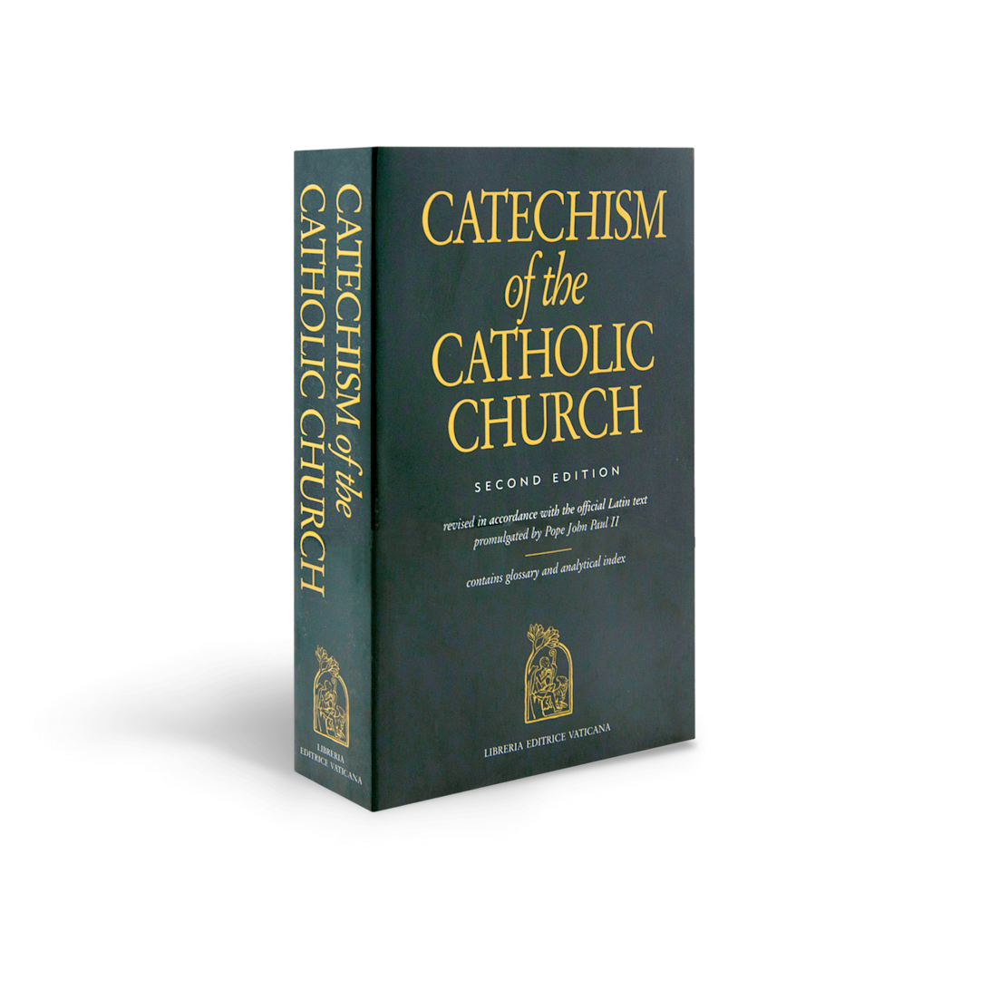 What does the Catechism teach? | YOUCAT