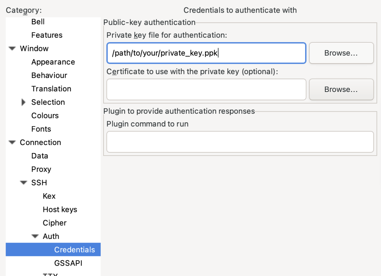 Screenshot 2025-08-28 at 11.10.57 AM.png