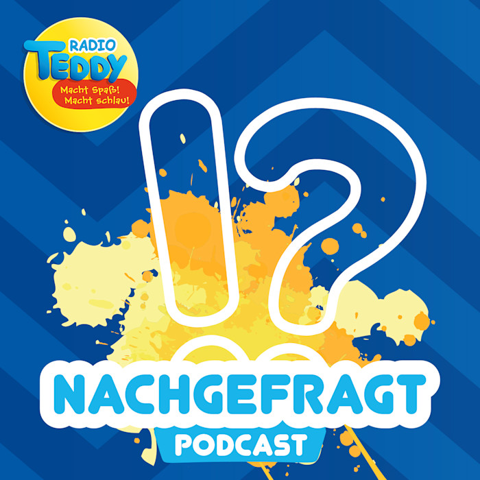 Wer Hat Blau Und Schlau Gelöst