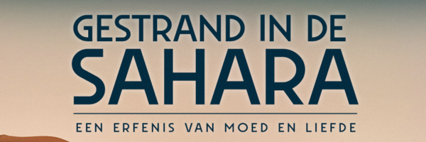 Gestrand in de Sahara