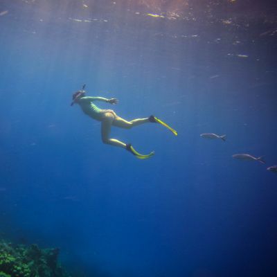 woman scuba diving with flippers surrounded by fish 