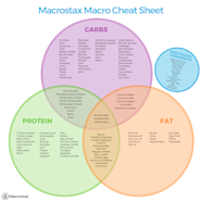 5 Tips To Help You Hit Your End Of The Day Macros Macrostax