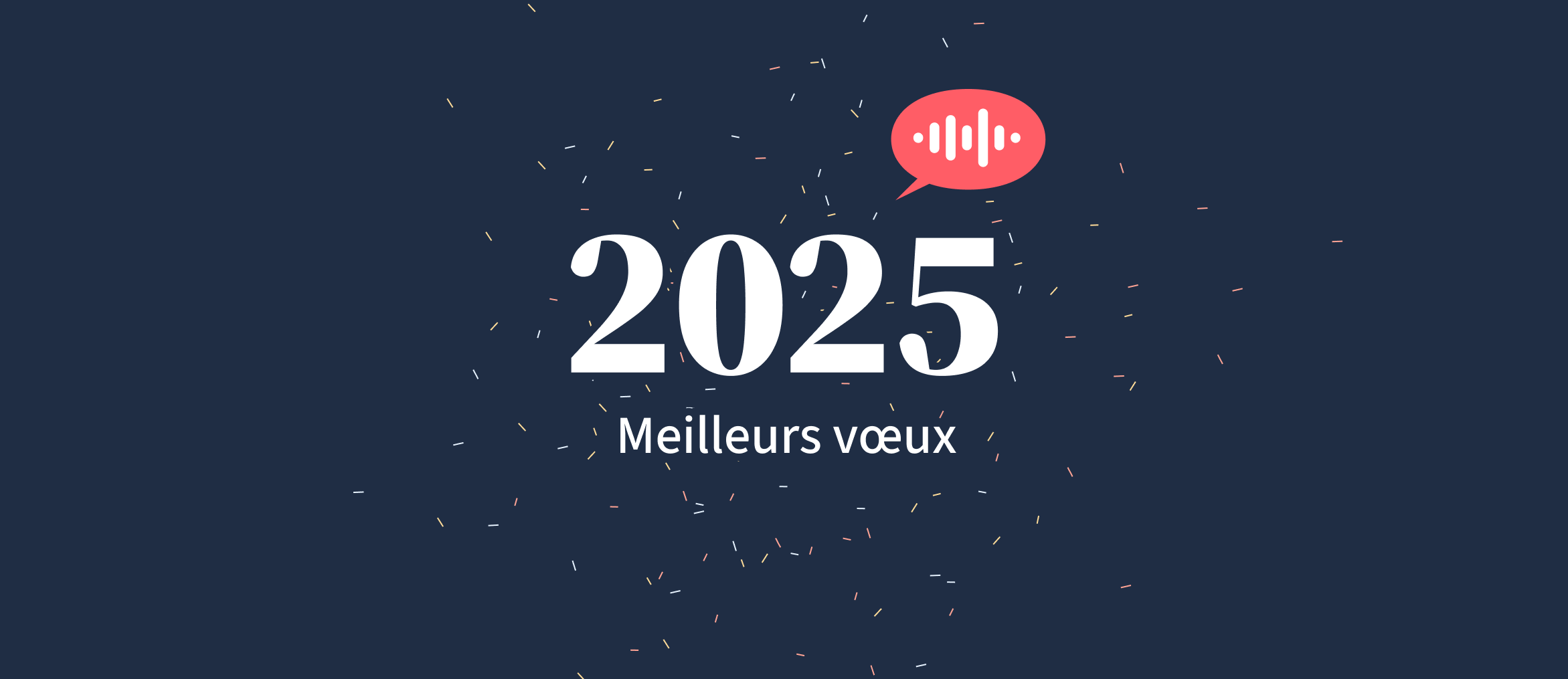 2025 meilleurs vœux