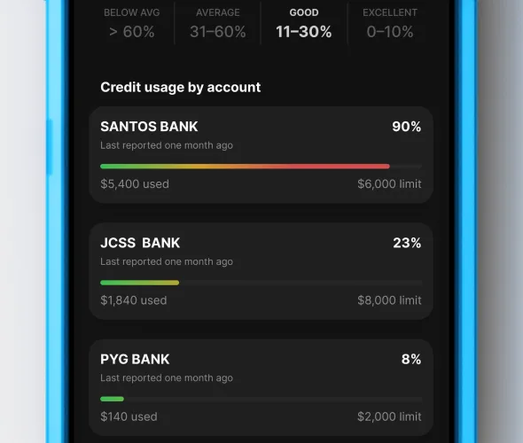 A phone showing a OnePay screen featuring a customer’s credit usage by account.