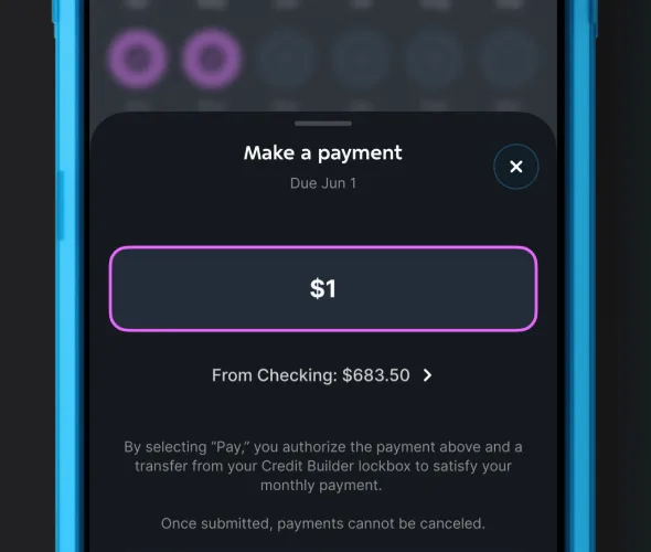 A phone showing a customer making a $1 Credit Builder Loan payment.