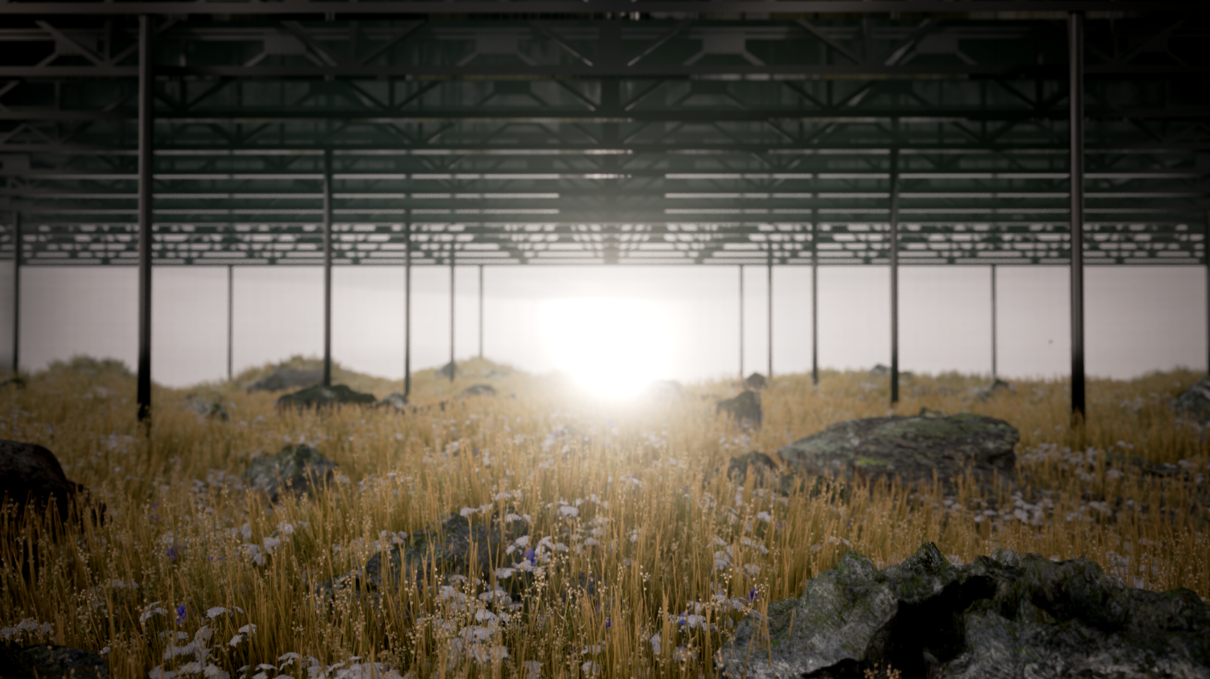 Visual Experiments