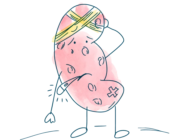 header-kidney-injured-understanding-kidney-transplant-rejection-m