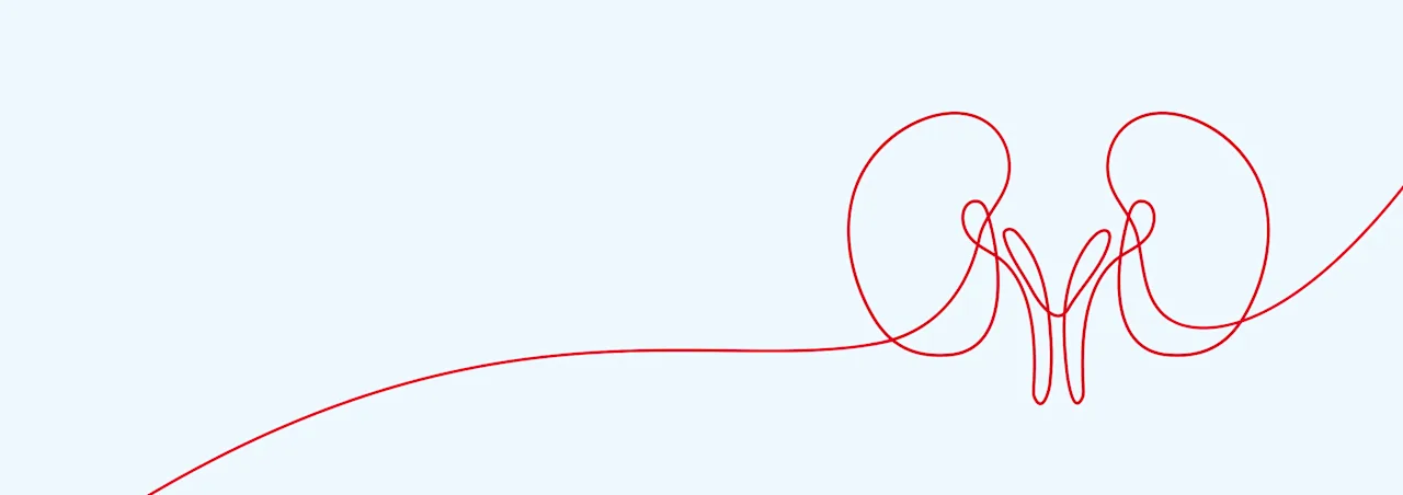 Banner-Kidney-DustyBlue-d