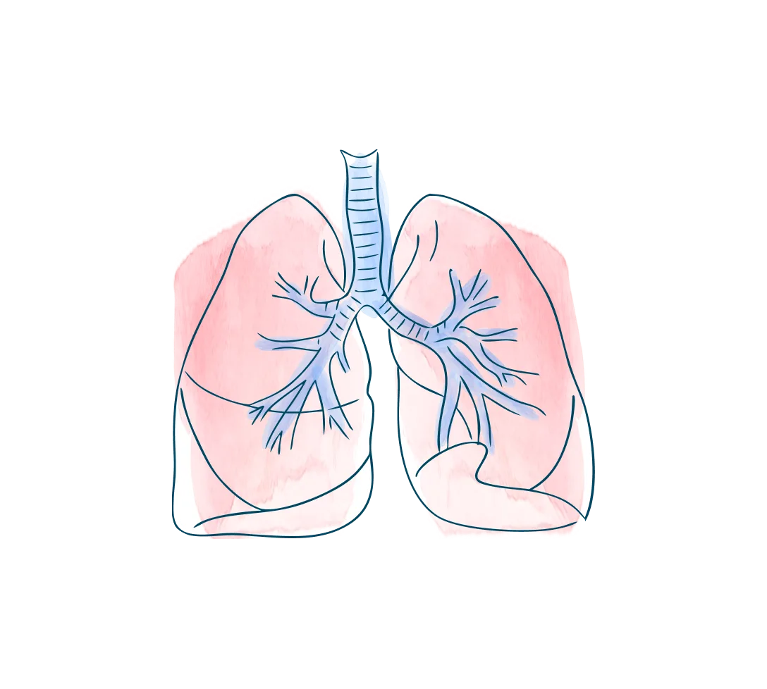 media-card-lung-navigate-lung-transplant-d