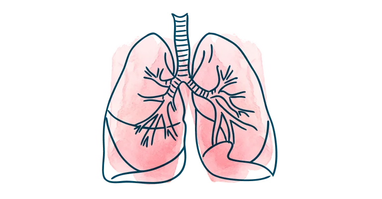 media-card-heart-science-behind-allosure-lung-d