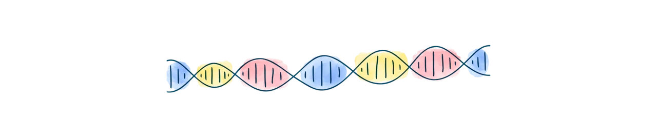 media-dna-strand-creatinine levels mean-d