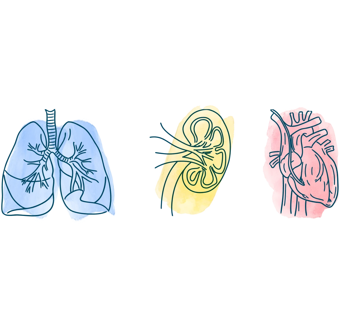 media-lung-kidney-heart-know-more-sooner-allosure-lung-d