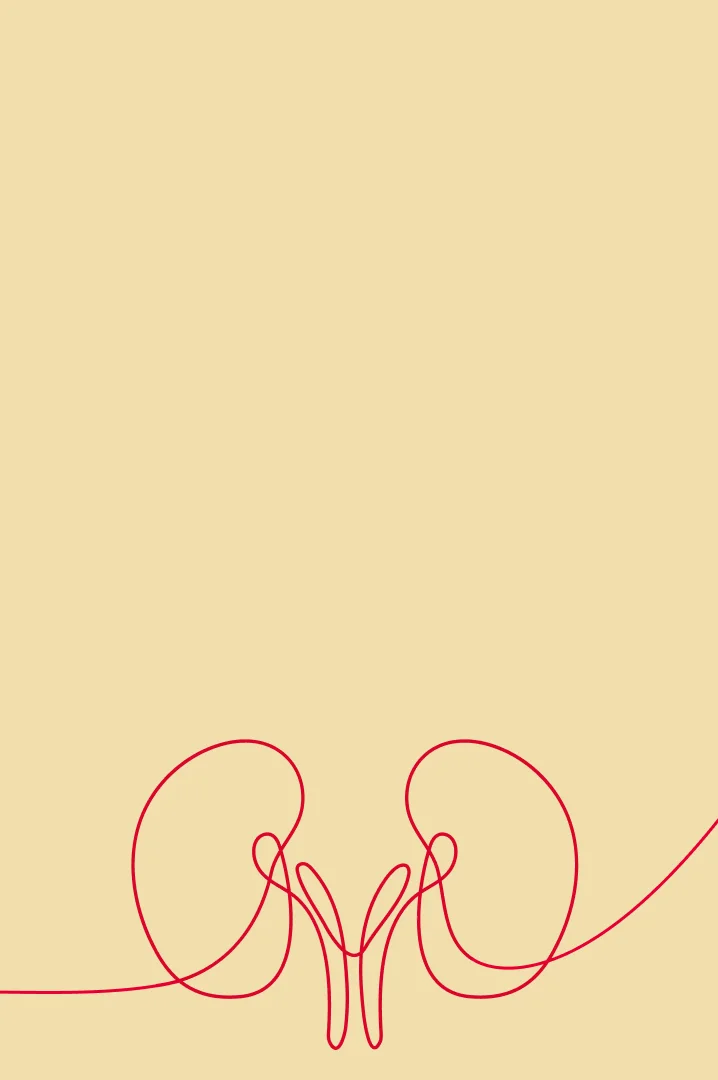 Banner-Kidney-OldGold50-m