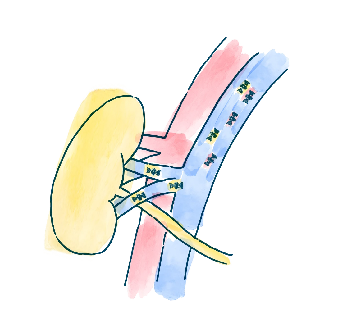 media-dna-strand-science-behind-allosure-lung-d