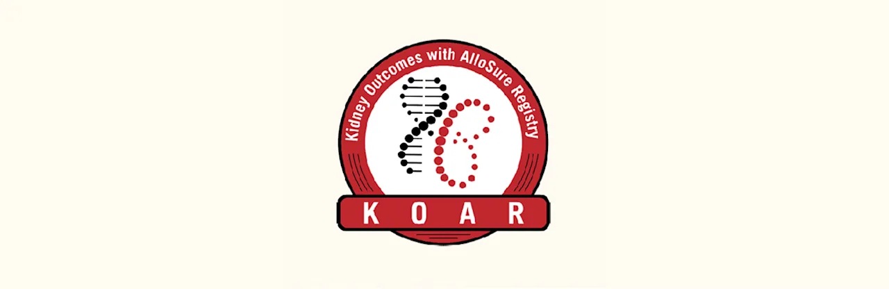 KOAR - solid background