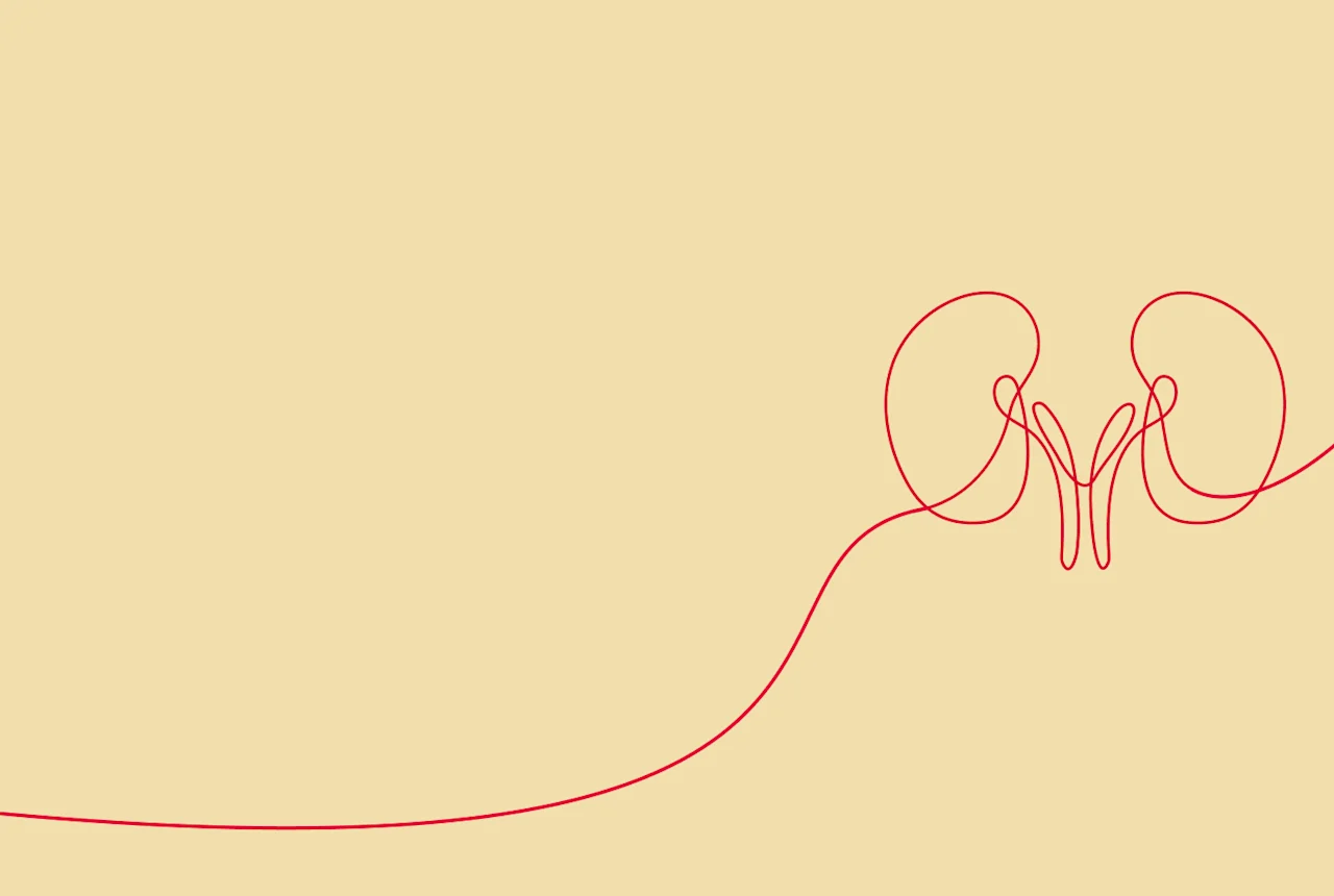 Banner-Kidney-OldGold50-t