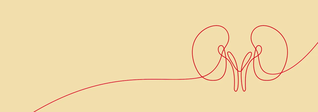 Banner-Kidney-OldGold50-d