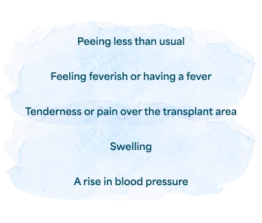 media-watercolor-5-blue-blob-signs-symptoms-kidney-rejection-m