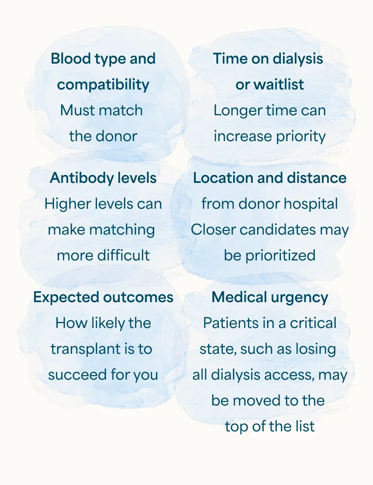 media-watercolor-6-blobs-blue-kidney-waitlist-m