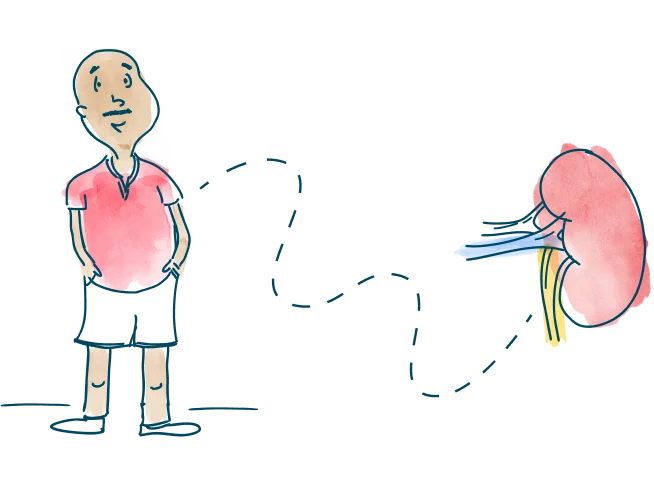 header-hero-patient-connected-kidney-match-m