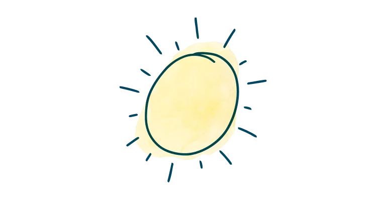 media-card-sun-kidney-match-d