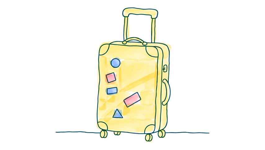 media-card-luggage-life-after-transplant-d