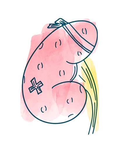 media-download-kidney-injured-curated-resources-support-transplant-journey-d