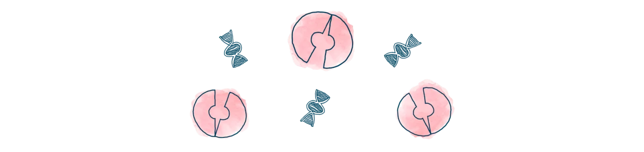 media-cells-broken-dna-d