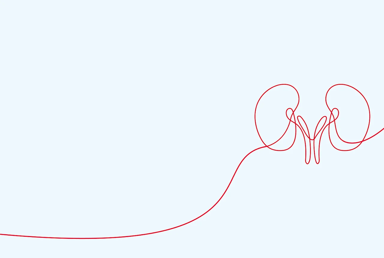 Banner-Kidney-DustyBlue-t