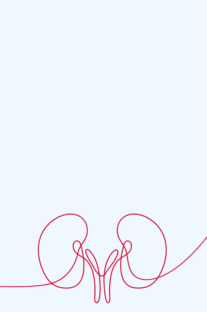 Banner-Kidney-DustyBlue-m