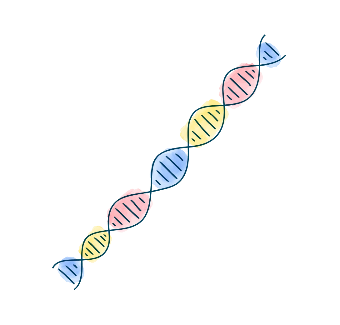 media-dna-strand-science-behind-allosure-kidney-d