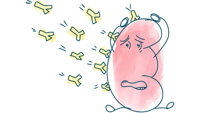 header-kidney-defence-understanding-kidney-transplant-rejection-m