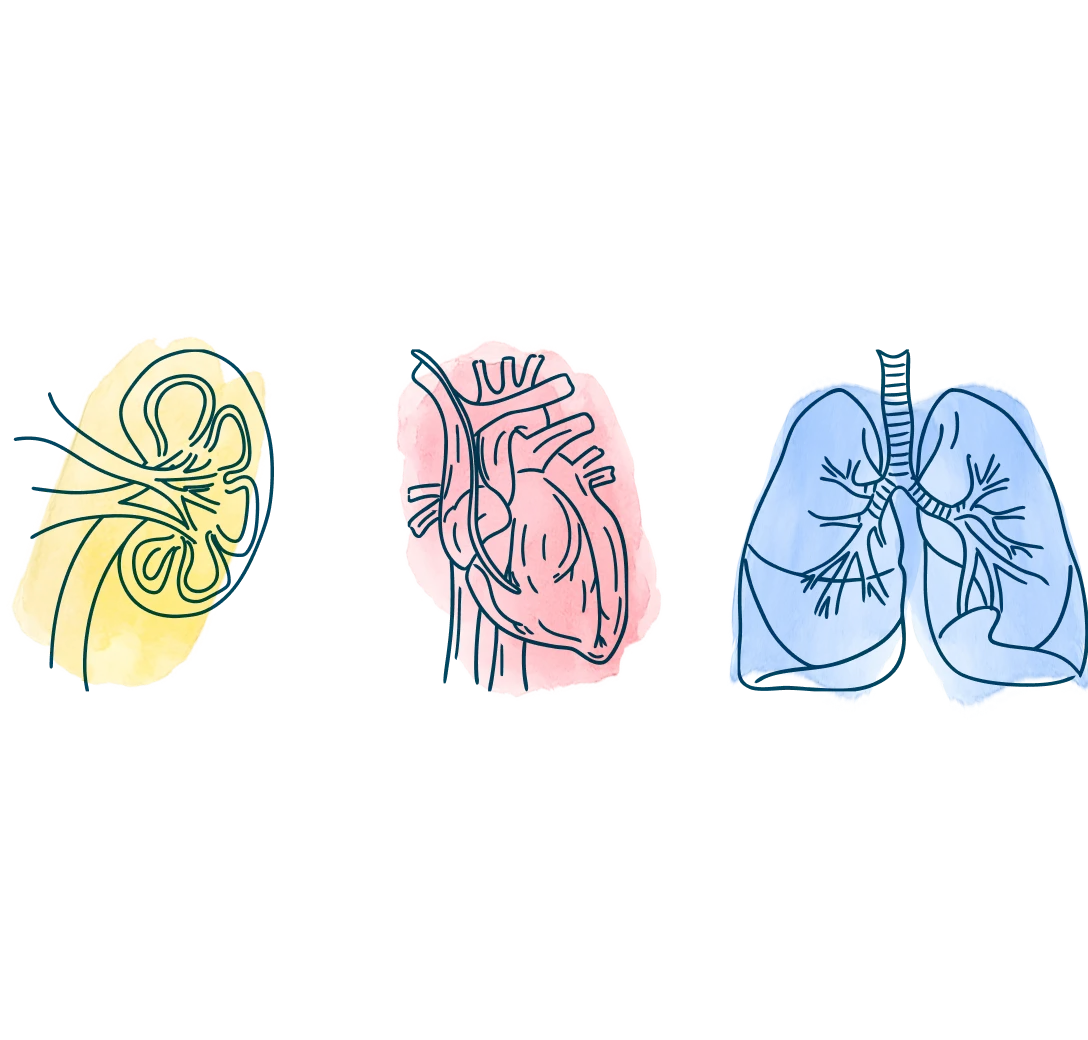 media-kidney-heart-lung-supporting-you-transplant-journey-d