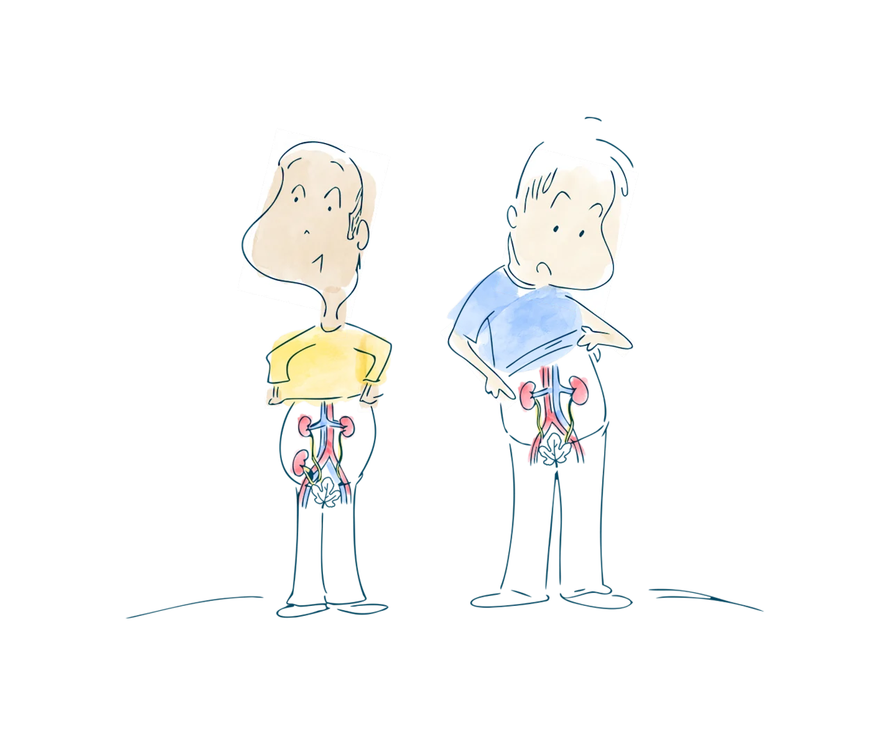 header-two-men-looking-at--their-kidneys-transplant-surgery-works-d