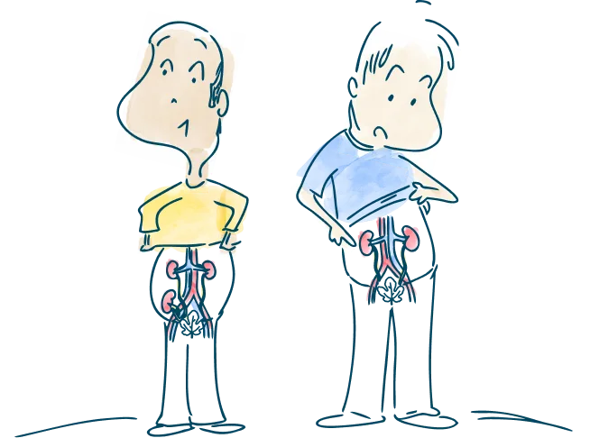 header-two-men-looking-at--their-kidneys-transplant-surgery-works-m