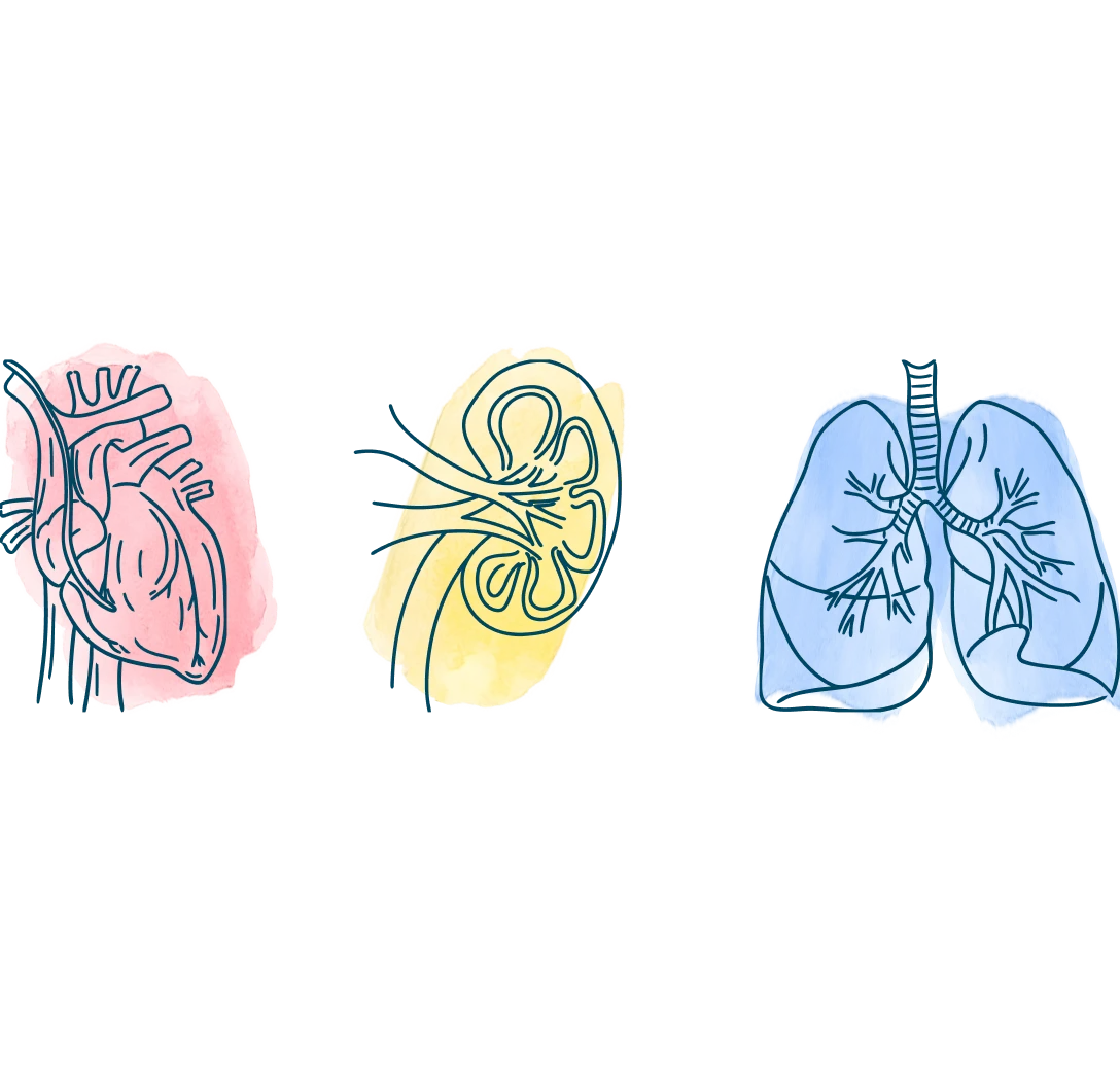 media-heart-kidney-lung-know-more-sooner-heartcare-d