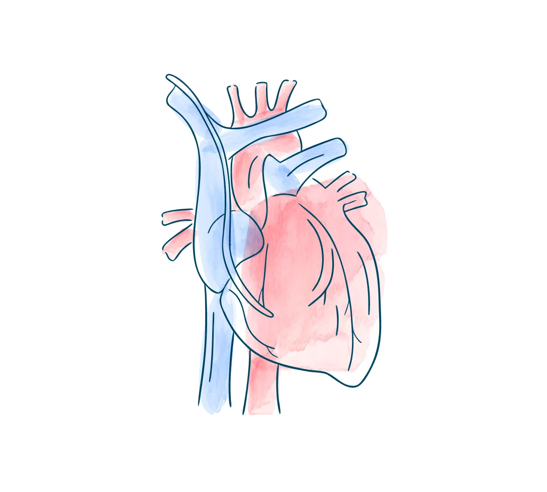 media-card-heart-navigate-heart-transplant-d