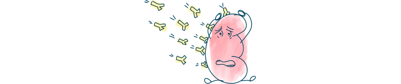 header-kidney-defence-understanding-kidney-transplant-rejection-d