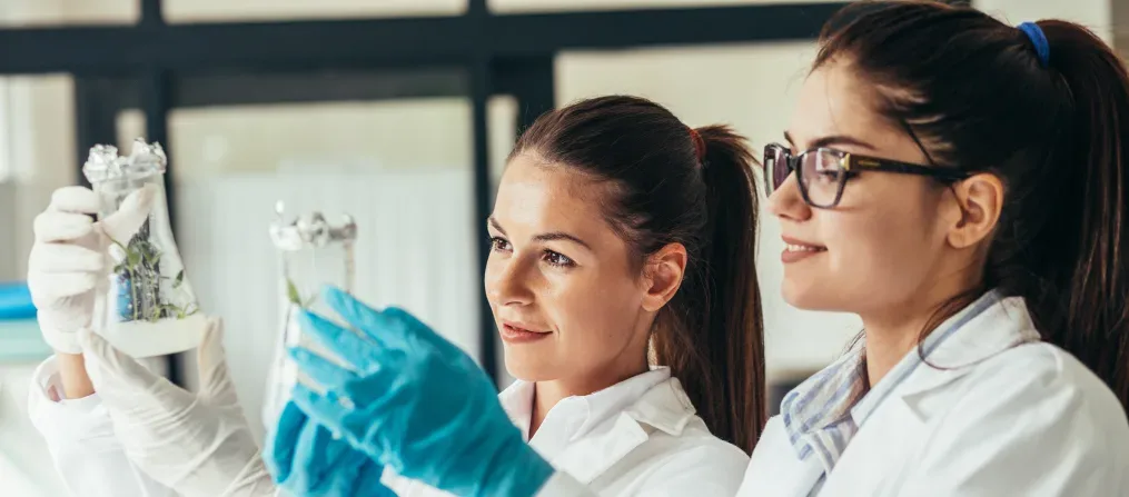 Keine schädlichen Substanzen – das belegen unabhängige Prüfungen 