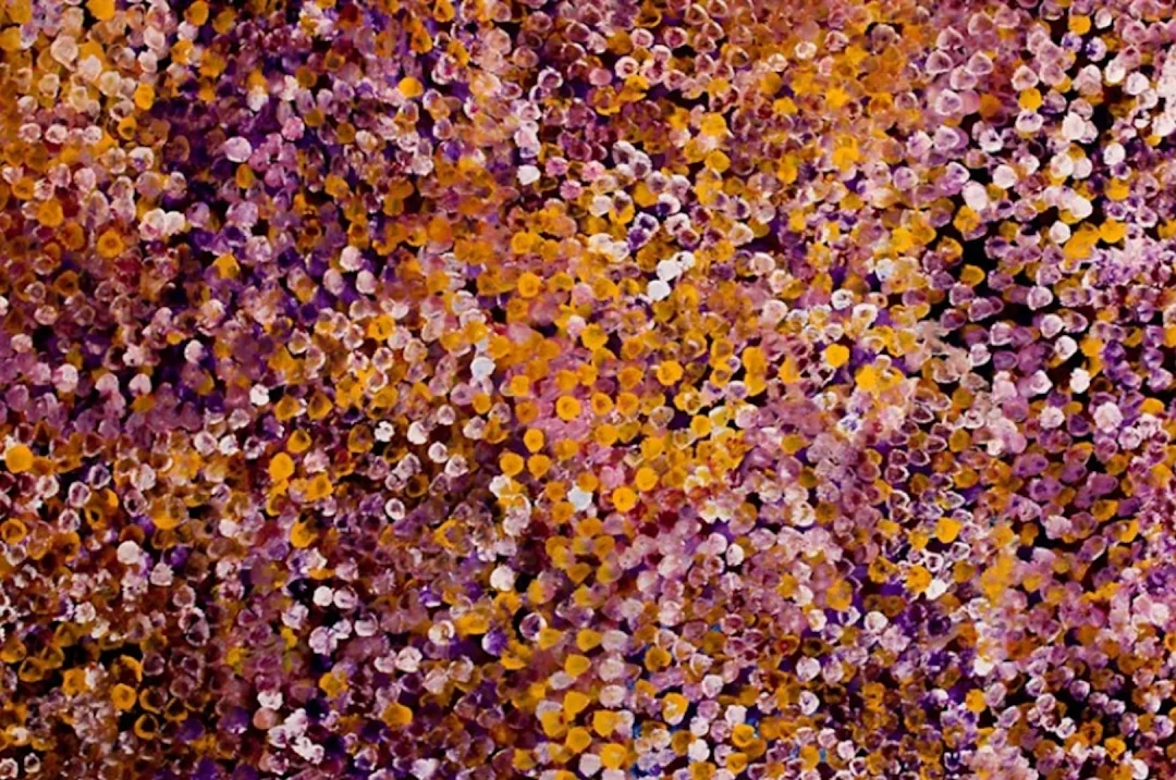 aerial view illustration of purple and orange flora