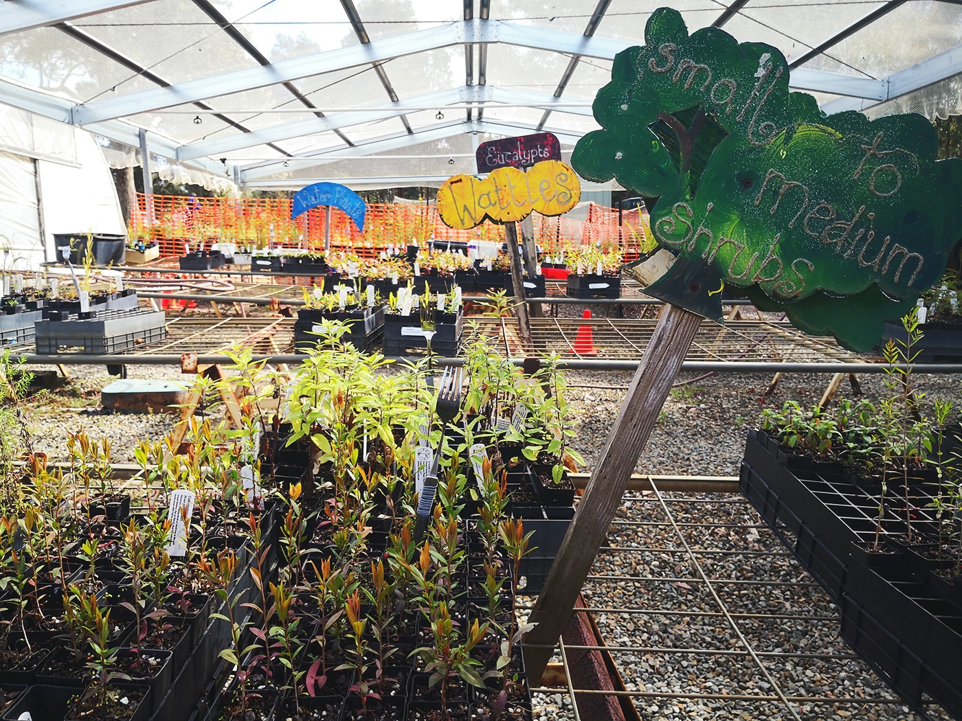 A shot of a greenhouse with a mix of signs and seedlings