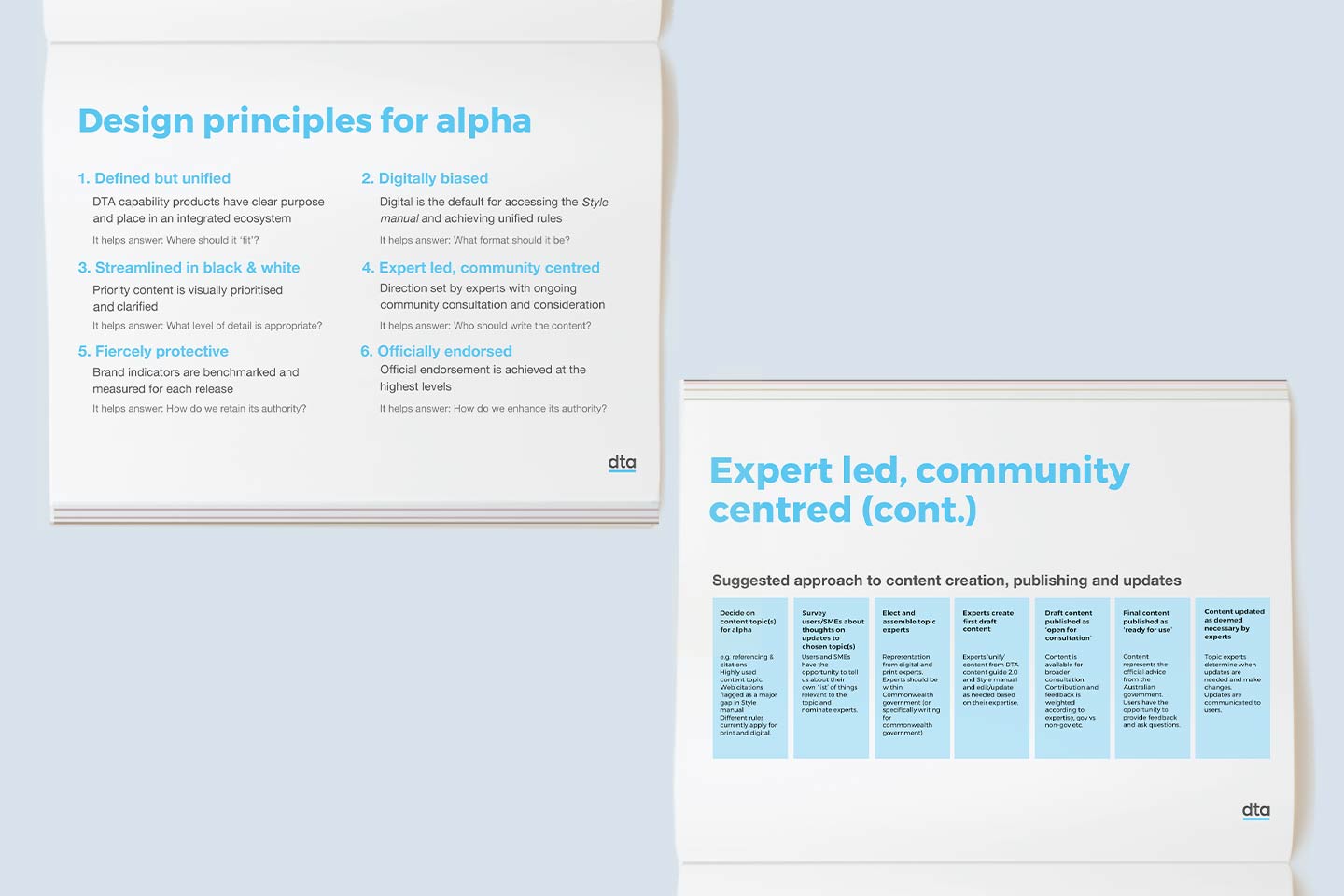 A mock-up of two report pages. Page one includes the design principles for alpha. Page two includes some suggested approaches to content creation. 