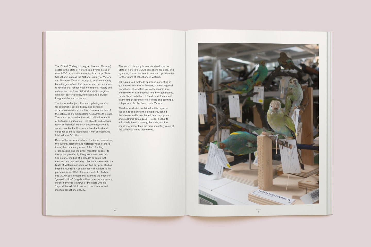 A spread of the research report, showing a page of text and a page with a photo of taxidermied parrots. 