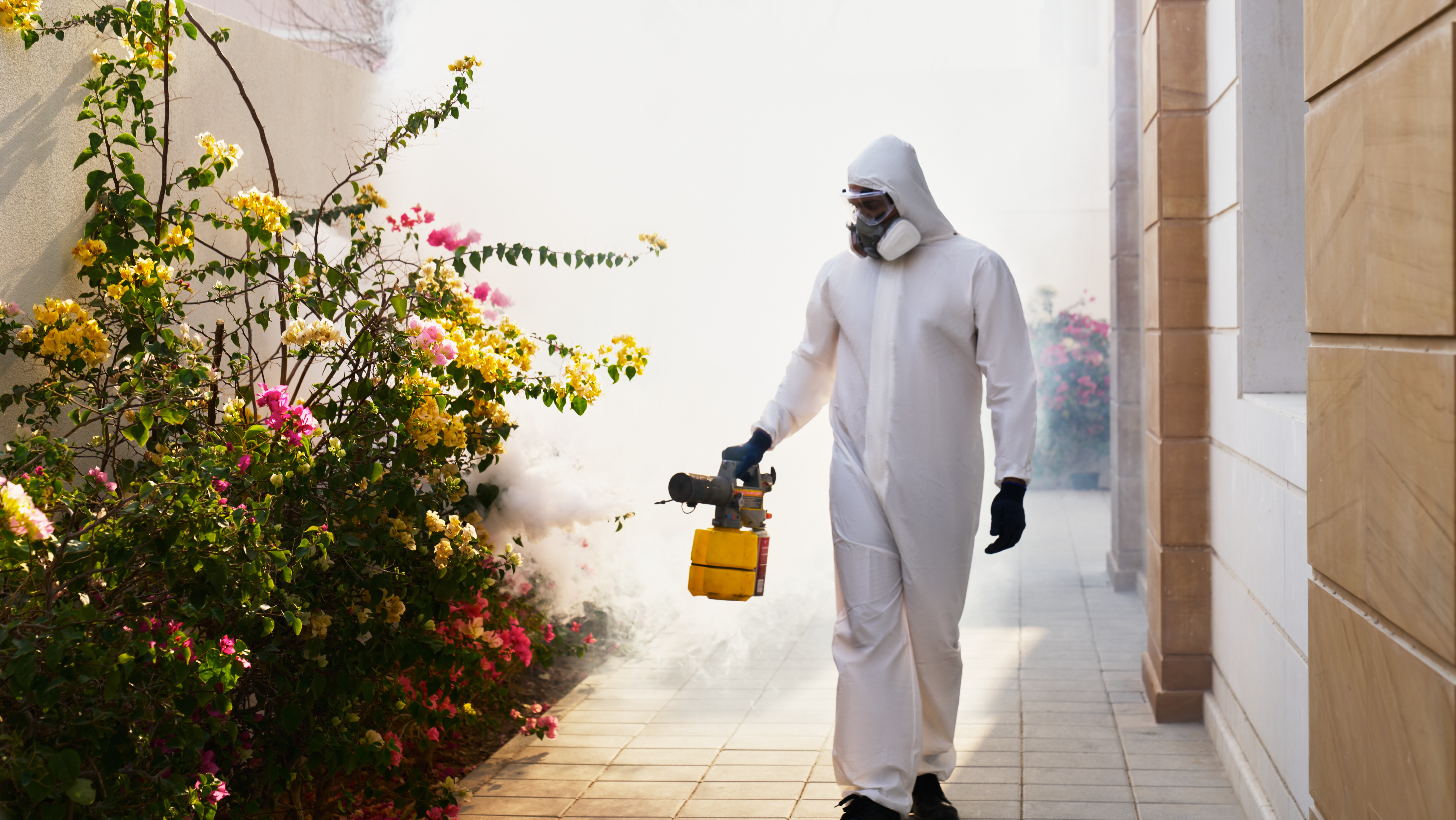 Inspire home image 1