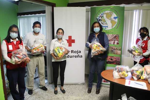 Donación de alimentos a causa de ETA e IOTA 03