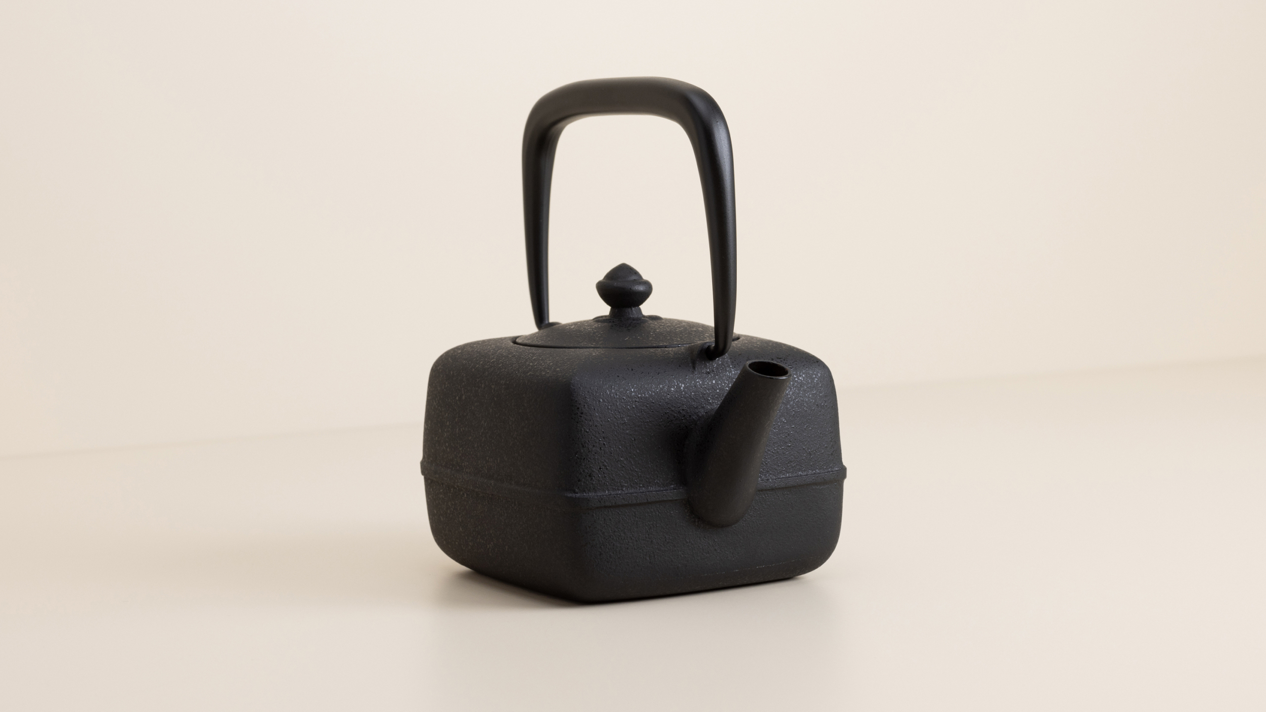 Cast iron teapot - Kikuchi Hojudo | AGOBAY